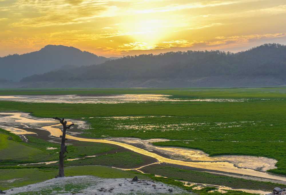 Jim Corbett National Park