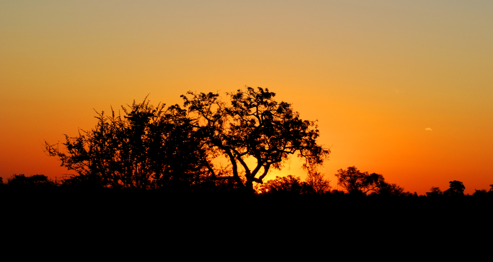 Kruger National Park