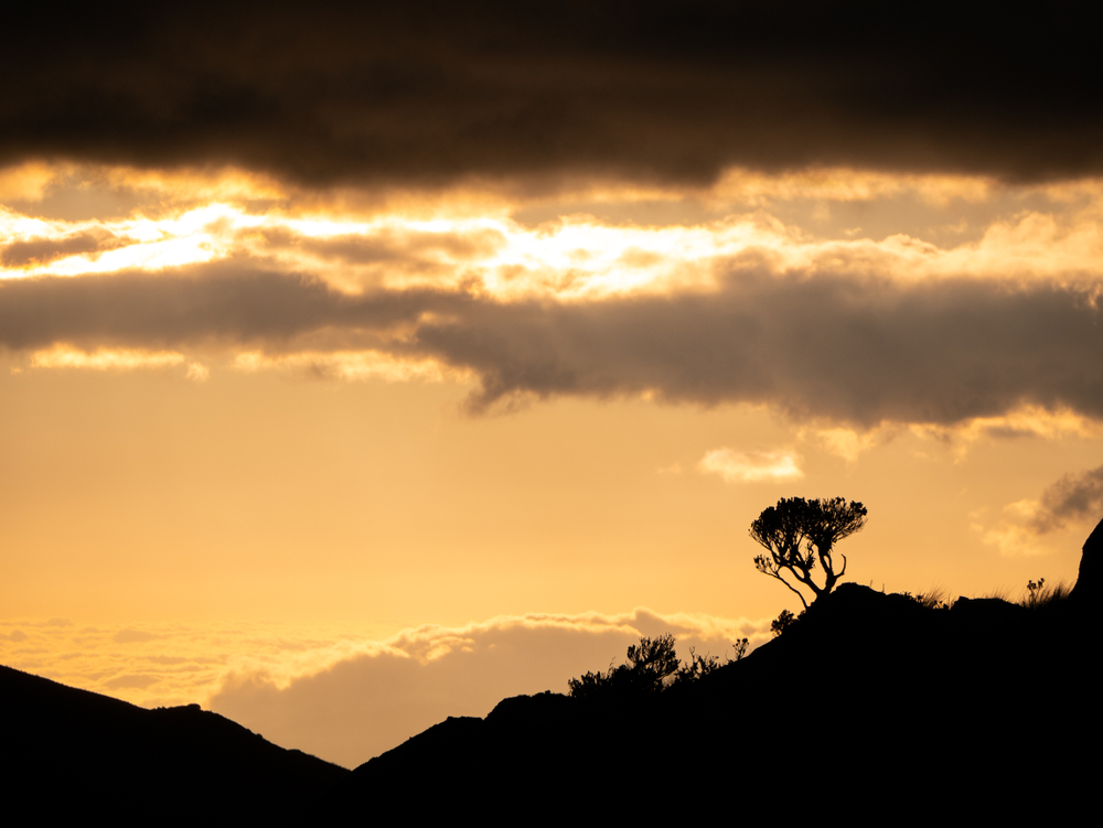El Cajas National Park