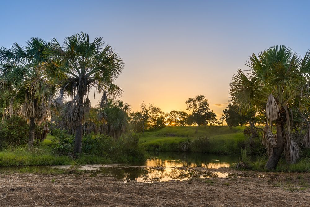 Aguaro-Guariquito National Park