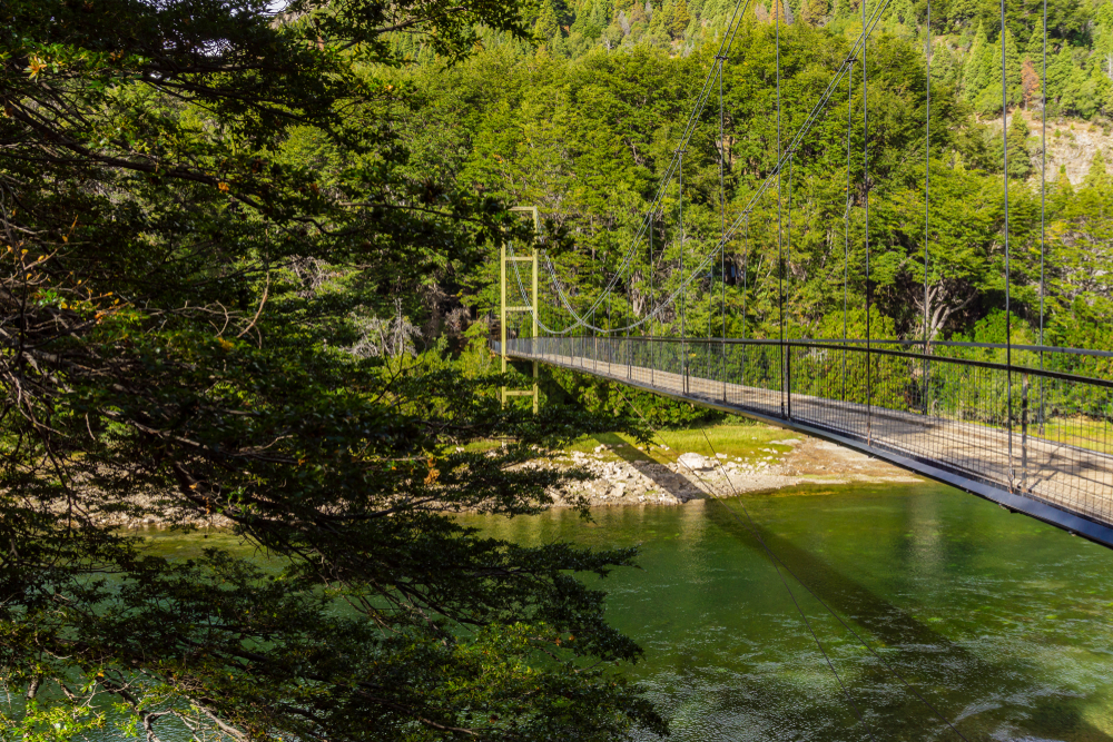 Los Alerces National Park