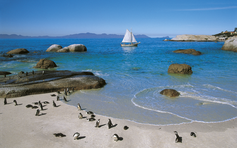 Table Mountain National Park