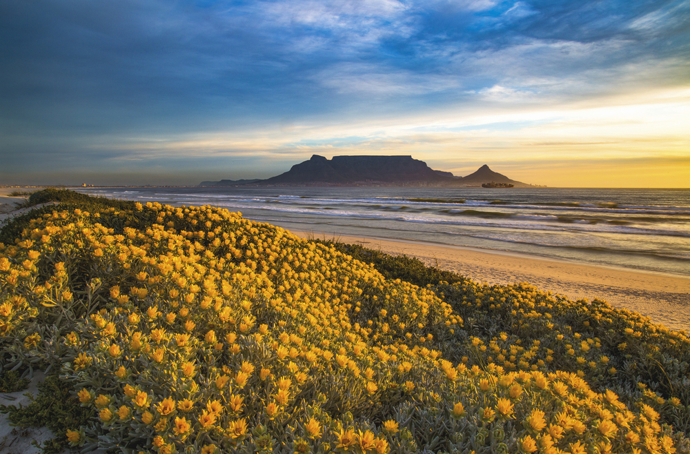 Table Mountain National Park