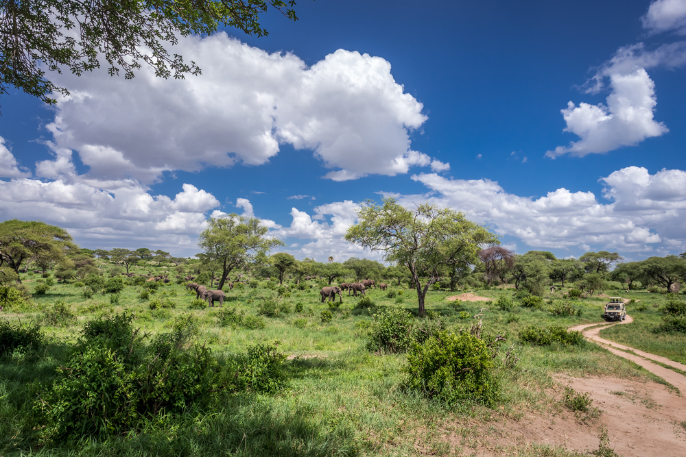Tarangire National Park