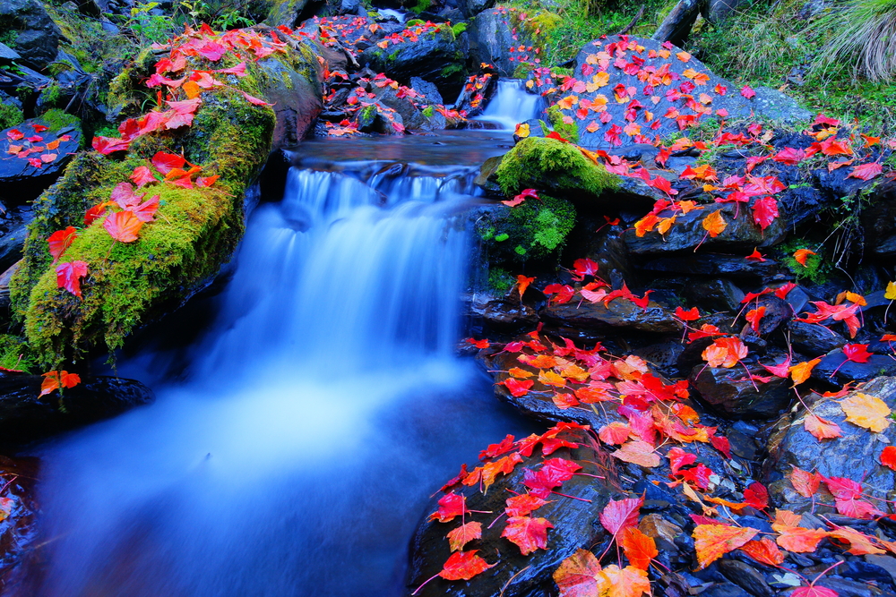 Taroko National Park