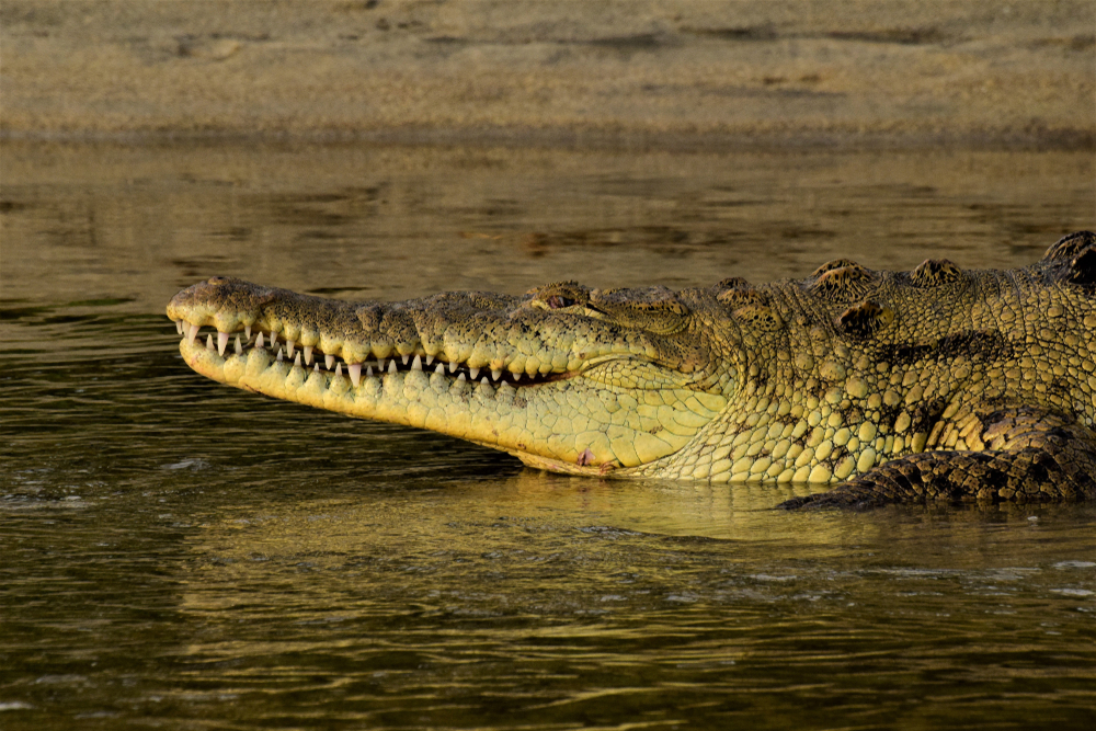 Tayrona National Park