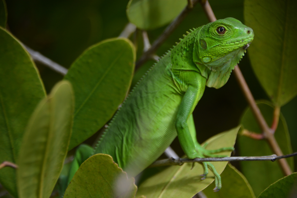 Tayrona National Park