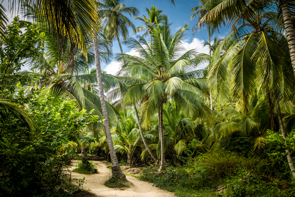 Tayrona National Park