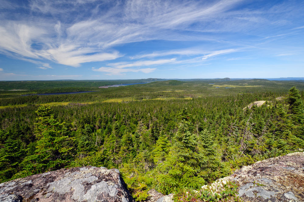 Terra Nova National Park