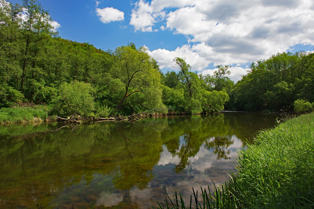 Thayatal National Park