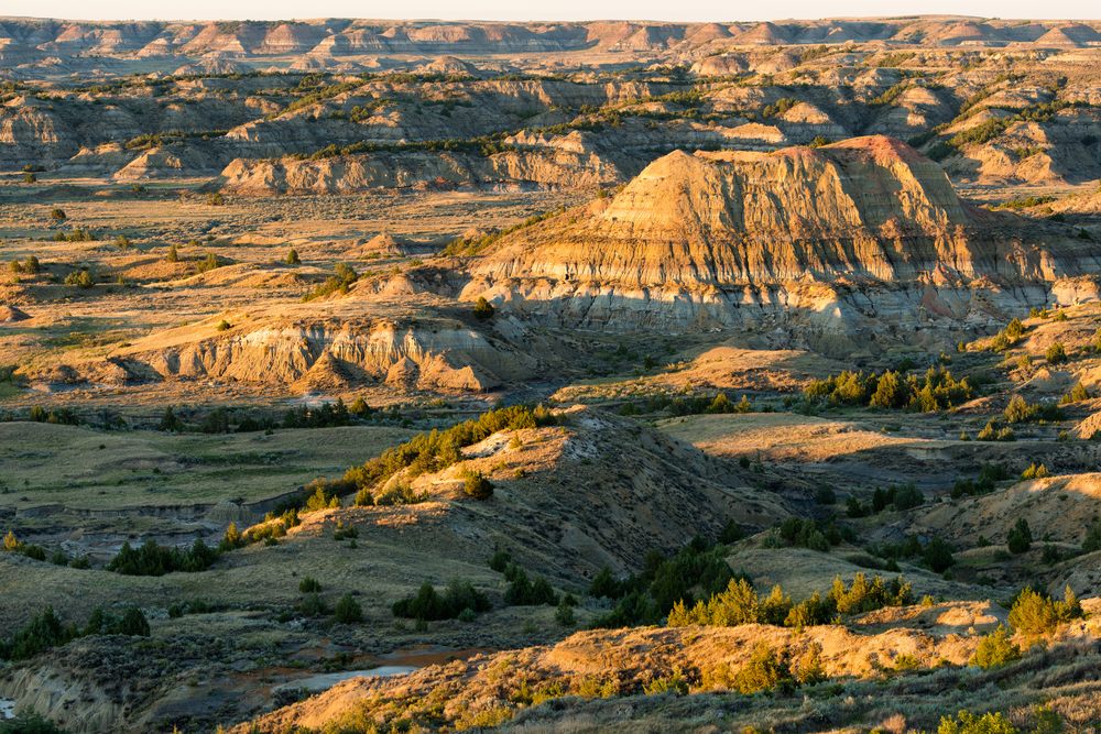 Theodore Roosevelt National Park