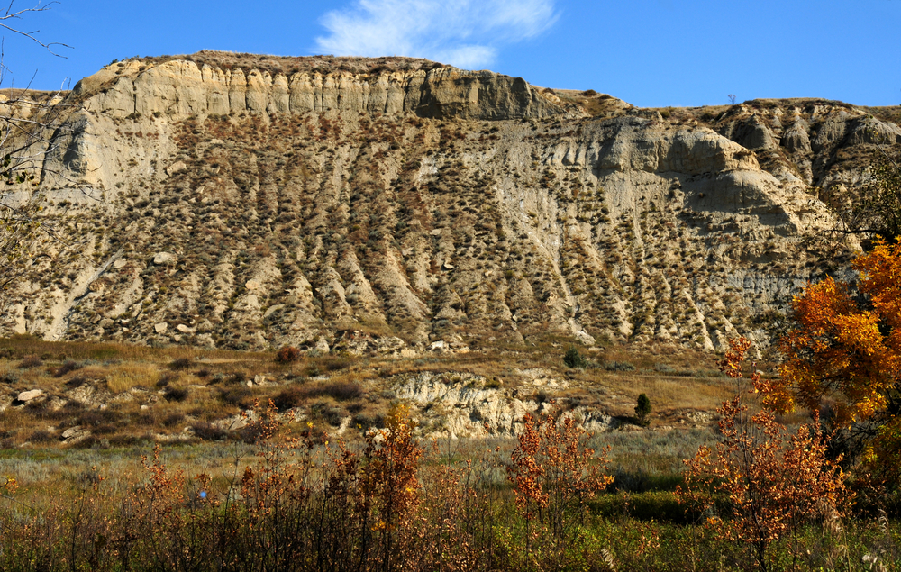 Theodore Roosevelt National Park