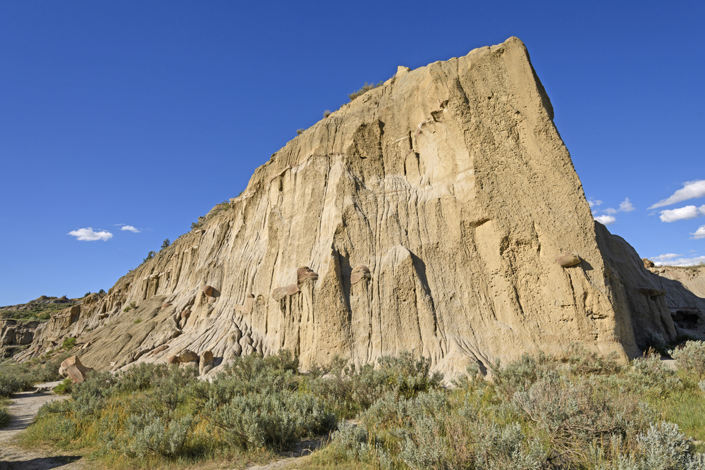 Theodore Roosevelt National Park