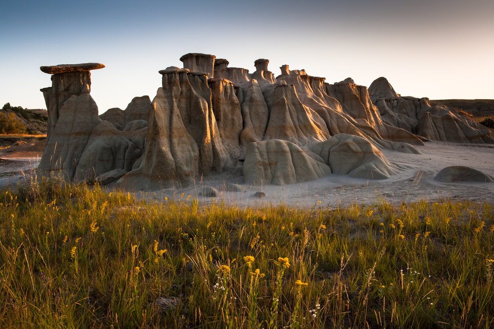 Theodore Roosevelt National Park