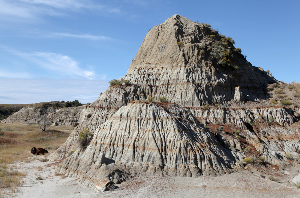 Theodore Roosevelt National Park