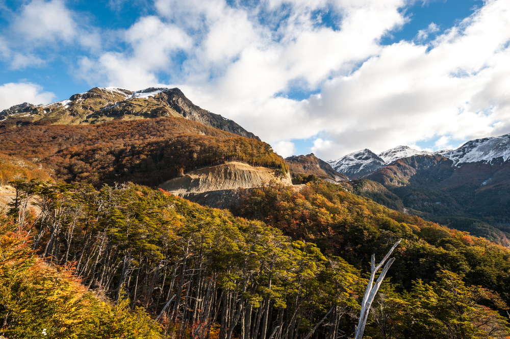Tierra del Fuego National Park