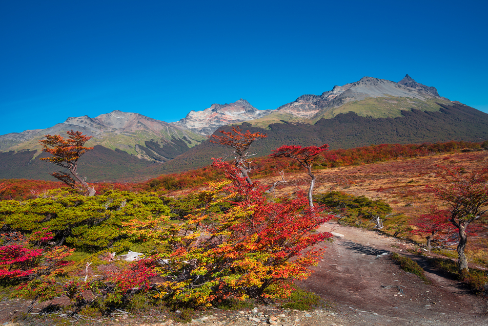 Tierra del Fuego National Park