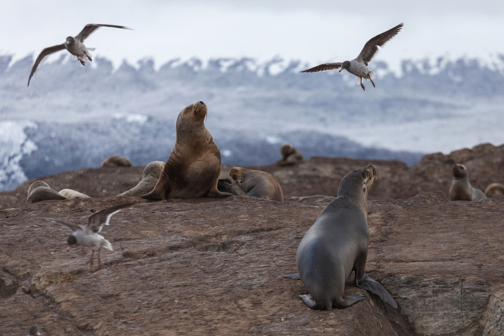 Tierra del Fuego National Park