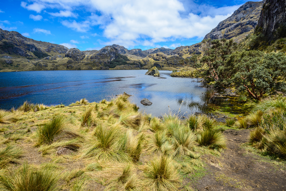 El Cajas National Park