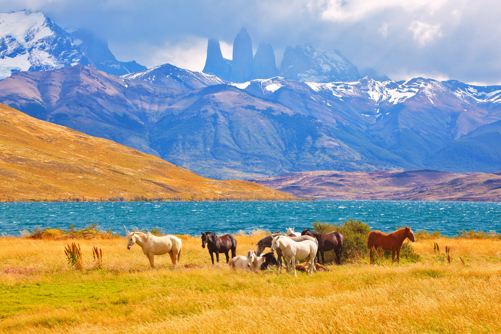 Torres del Paine National Park