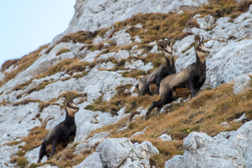 Triglav National Park