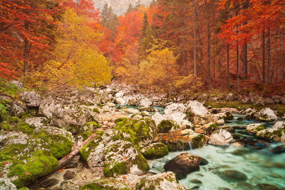 Triglav National Park