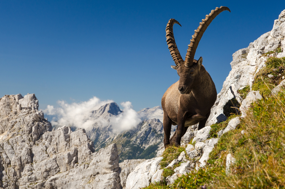 Triglav National Park