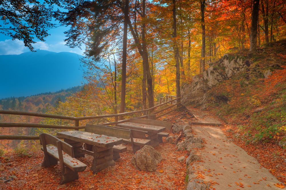 Triglav National Park