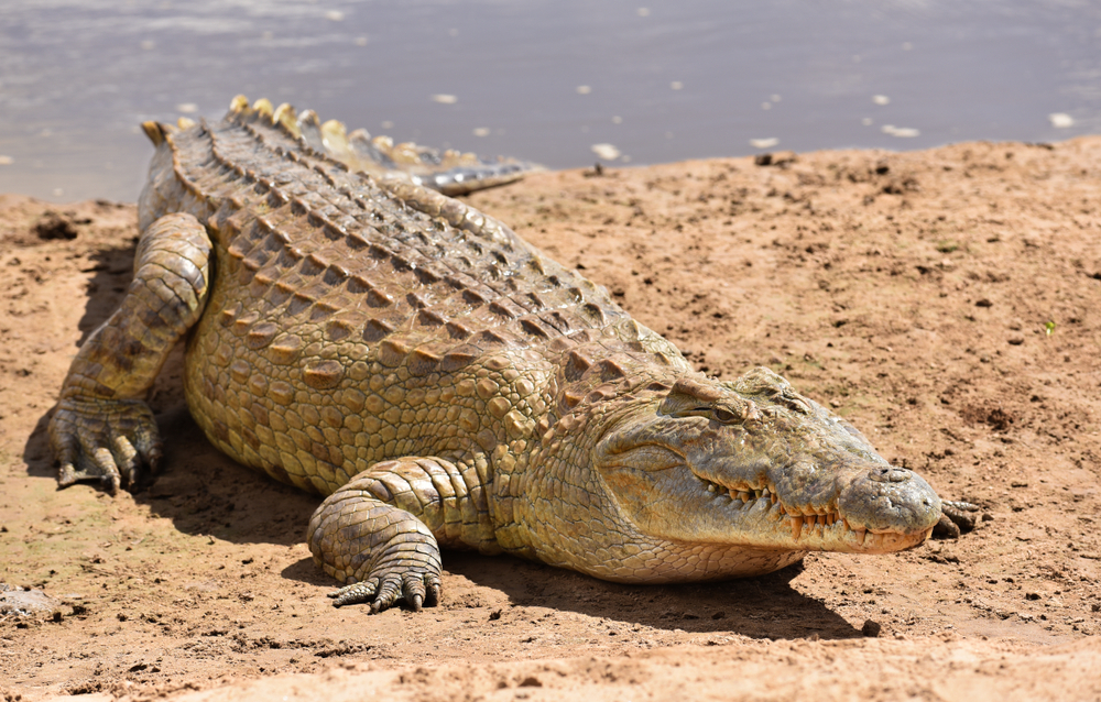 Tsavo East National Park