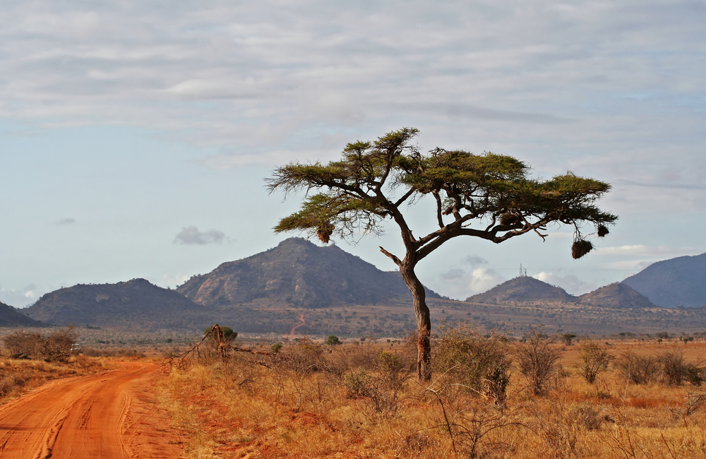 Tsavo East National Park
