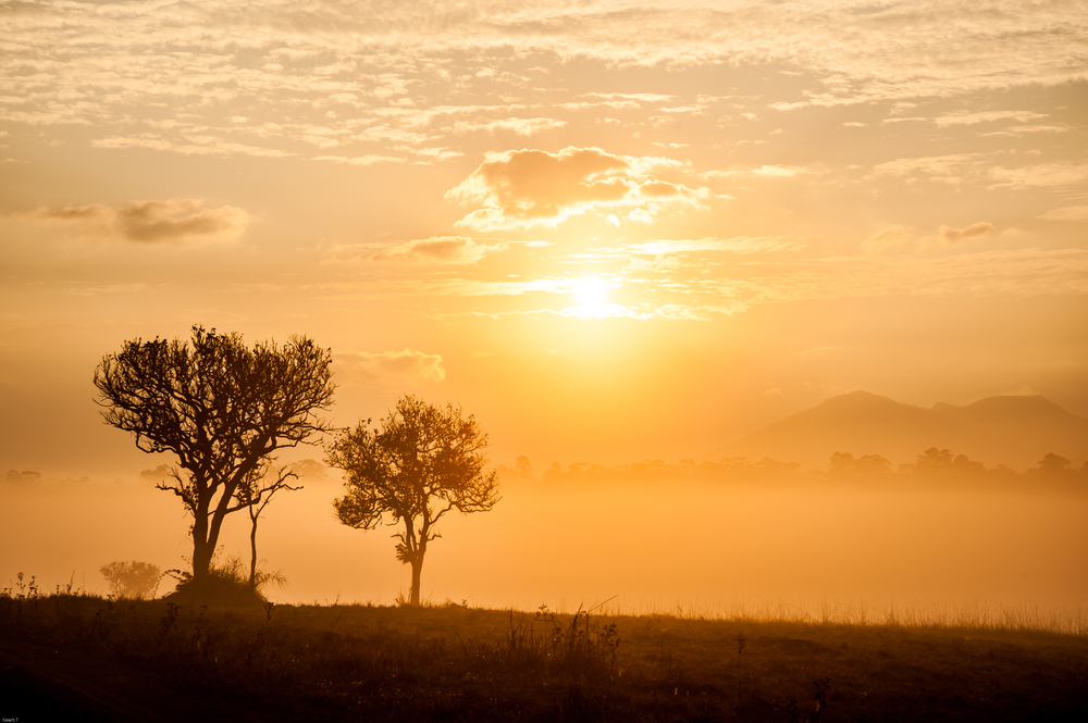 Tsavo East National Park