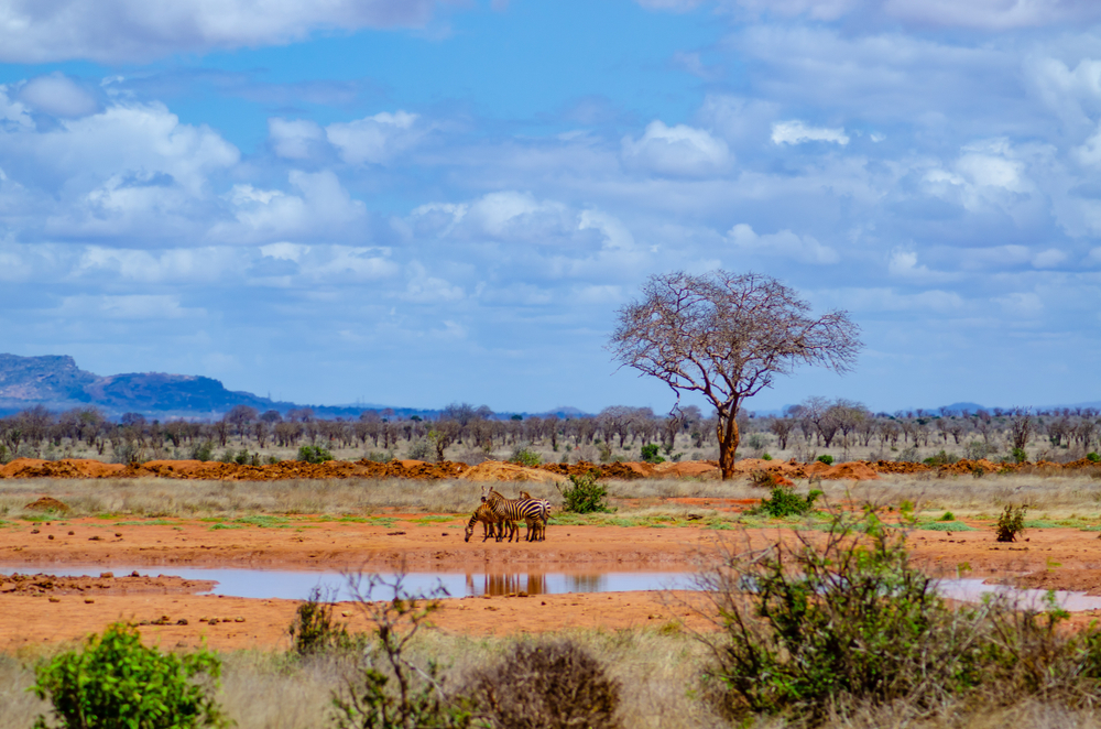 Tsavo East National Park