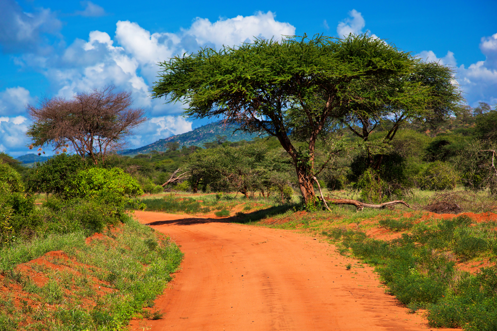 Tsavo West National Park