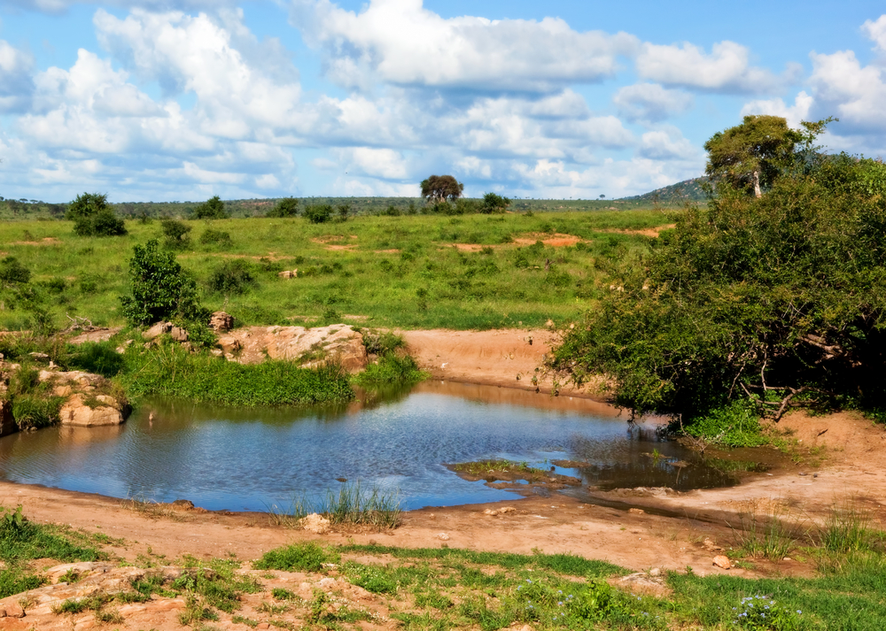Tsavo West National Park