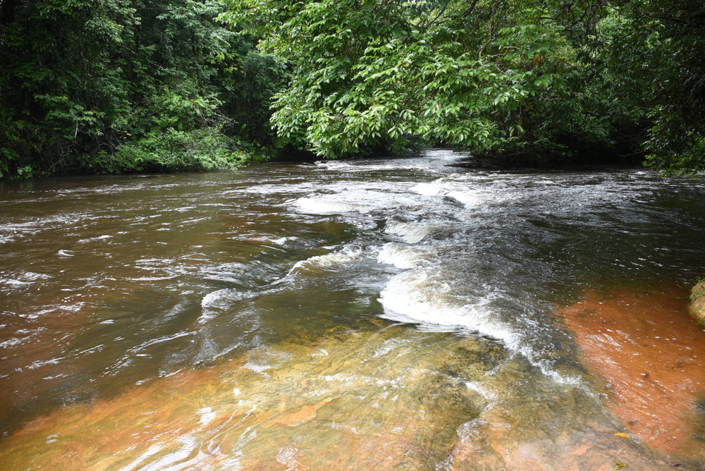 Tumucumaque Mountains