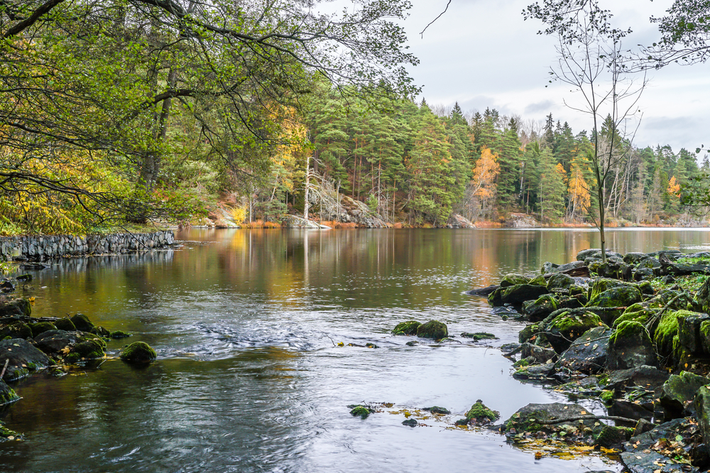 Tyresta National Park