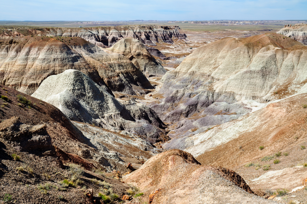 Petrified Forest National Park
