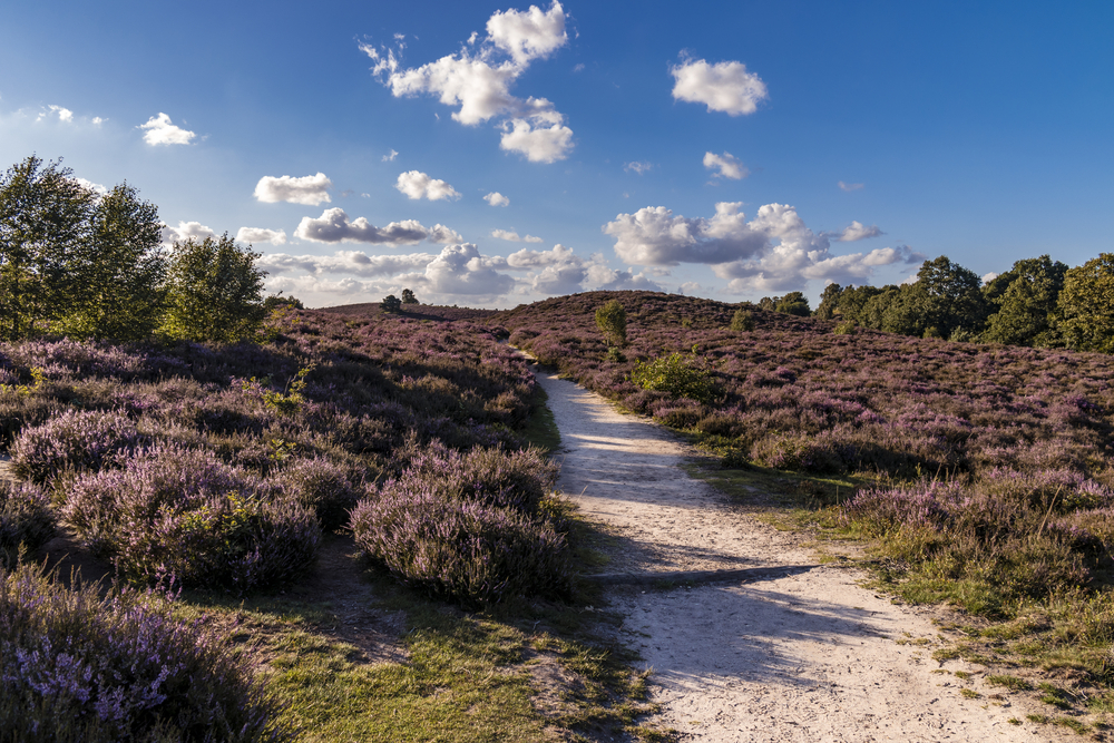 Veluwezoom National Park
