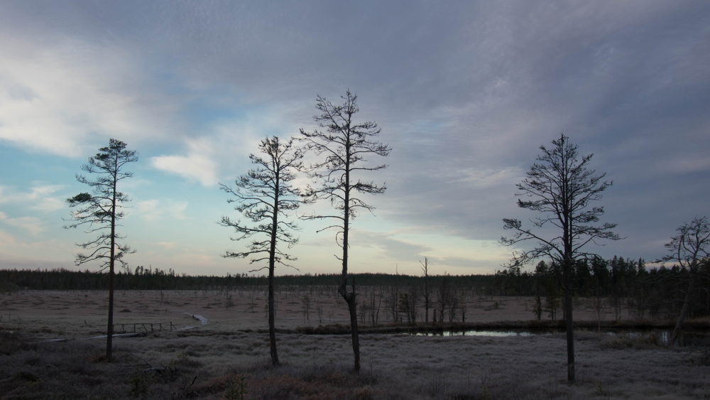 Vodlozersky National Park