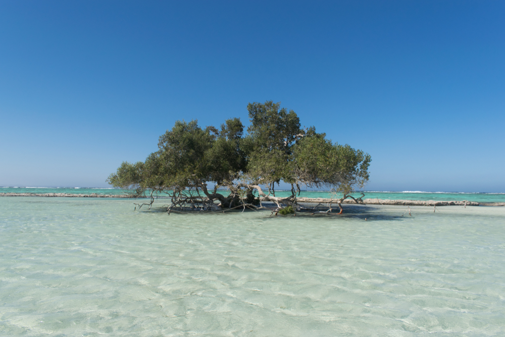 Wadi el Gemal National Park