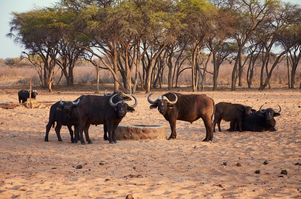 Waterberg Plateau Park