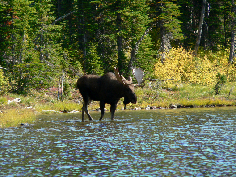 Waterton Lakes National Park
