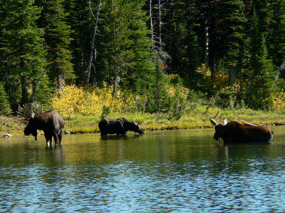 Waterton Lakes National Park