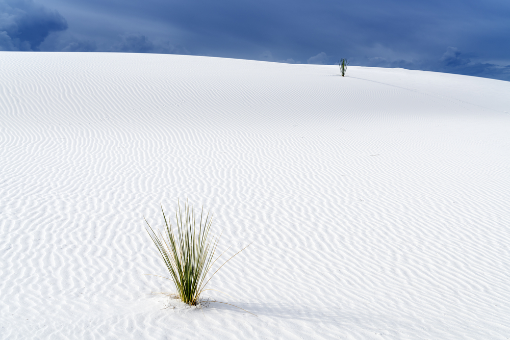 White Sands National Park