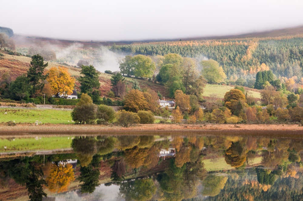 Wicklow Mountains National Park