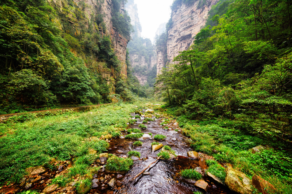 Zhangjiajie National Forest Park