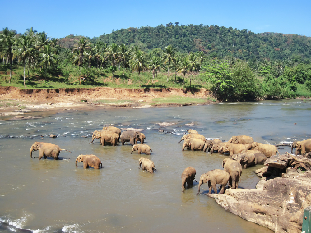 Yala National Park