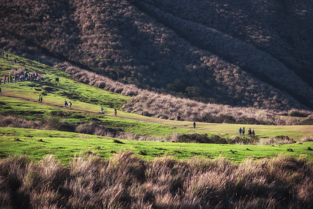 Yangmingshan National Park