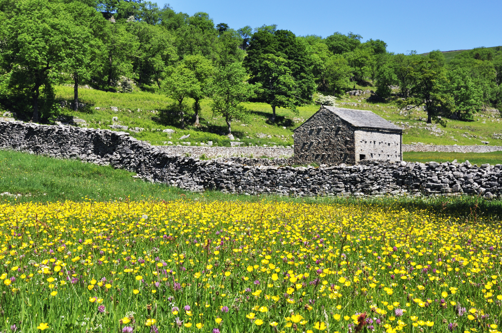 Yorkshire Dales National Park