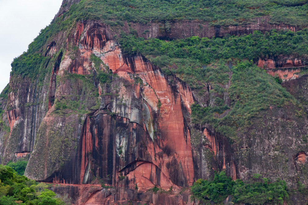 Amboro National Park